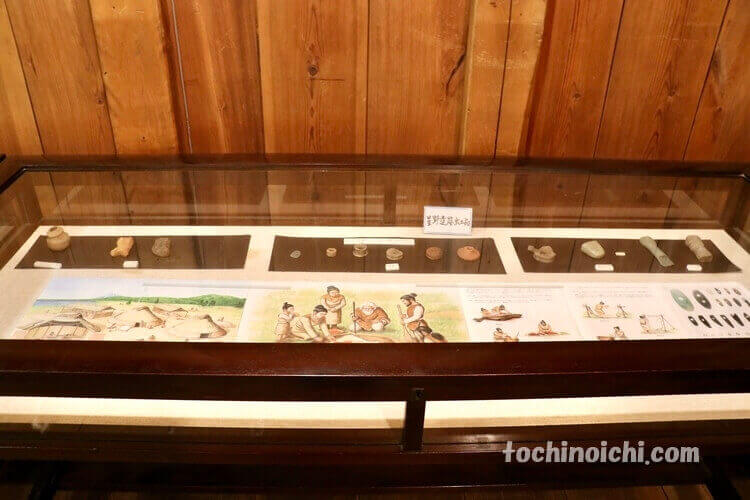 栃木市郷土参考館に展示された星野遺跡出土品