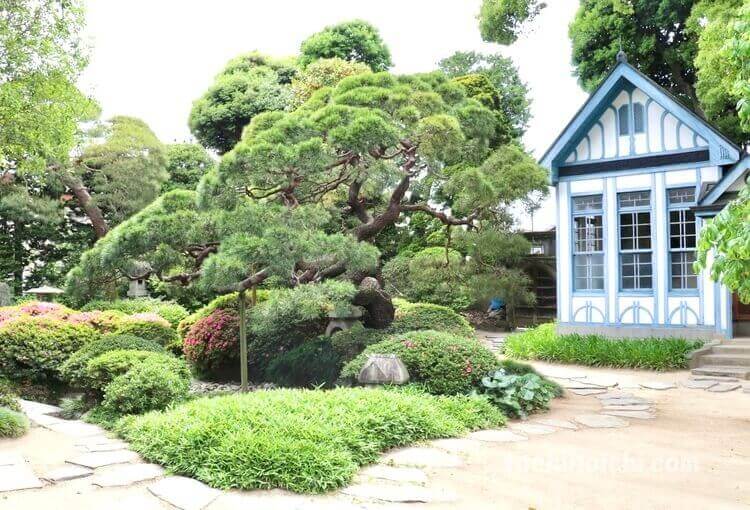 横山郷土館の庭園と洋館