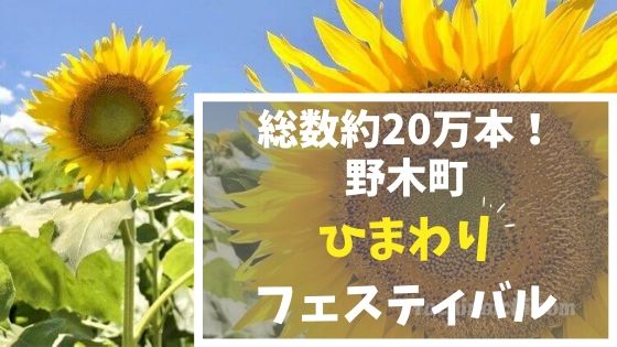 野木町のひまわり｜2019-2022｜見頃・開花状況・会場の様子のアイキャッチ画像