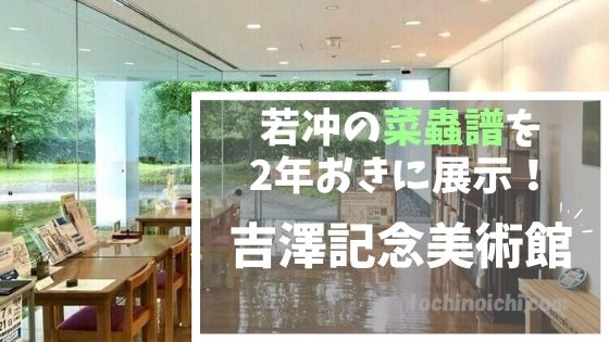 吉澤記念美術館｜葛生で発見された伊藤若冲の菜蟲譜も展示のアイキャッチ画像