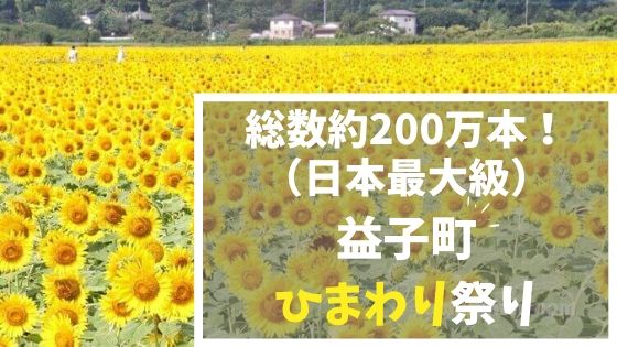 益子町のひまわり祭り 19 21 ひまわり畑の見頃 開花状況 とちのいち