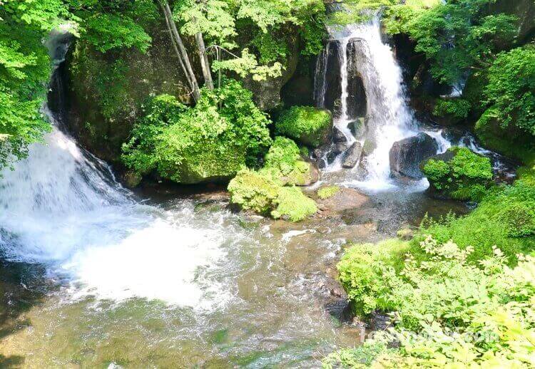初夏の緑が綺麗な竜頭の滝