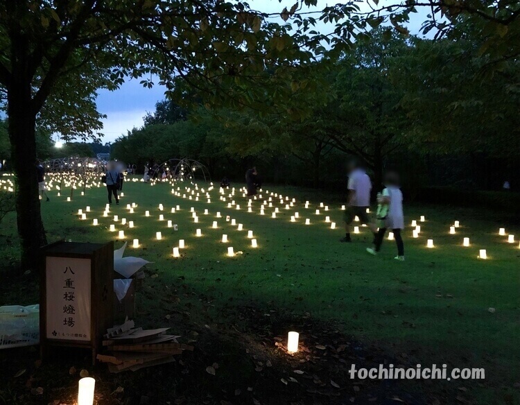天平の丘公園のしもつけ燈桜会（キャンドルイベント）の芝生に置かれた綺麗なキャンドル