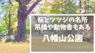 八幡山公園 桜 ツツジ 紅葉も綺麗な宇都宮の人気スポット とちのいち