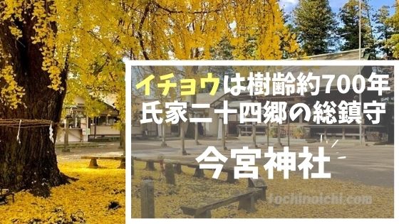 今宮神社 栃木県さくら市 御朱印 イチョウのライトアップや紫陽花の花手水も人気の神社 とちのいち